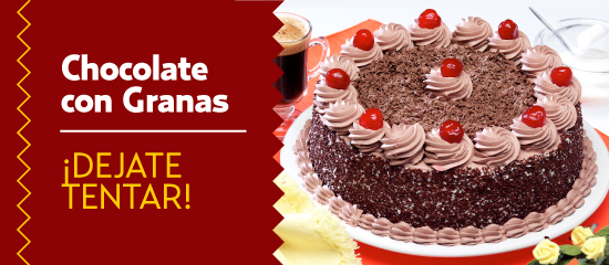 Banner HBS - Chocolate con Granas